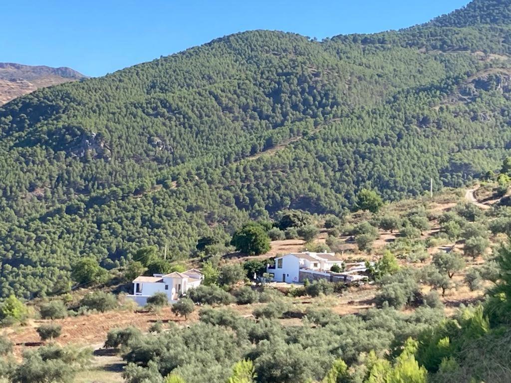 Apartamento La Fuente Alcaucín Exterior foto